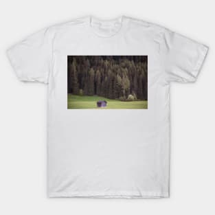 Isolated cabin in the woods in Italy T-Shirt